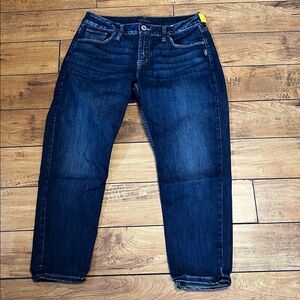 Silver Jeans Avery skinny crop Jeans